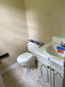 276 Murray Fork family room bathroom before