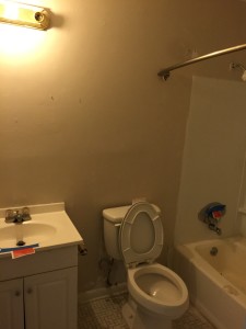 276 Murray Fork hall bathroom before